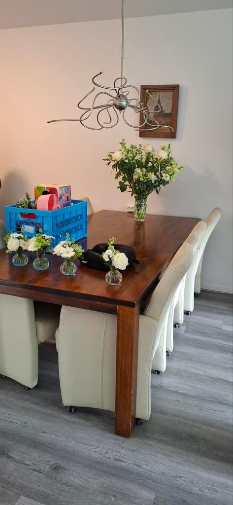 Eetkamerstoelen, Ophalen of Verzenden, Gebruikt, Overige kleuren, Twee