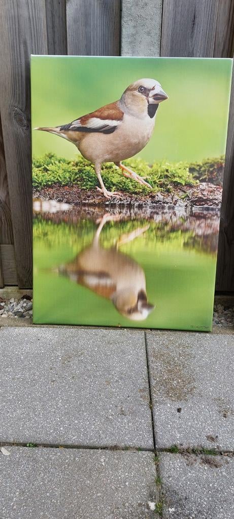 Buiten schilderijen, Tuin en Terras, Ophalen