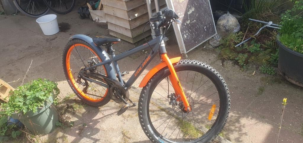 Volare mountainbike 24inch, Minder dan 47 cm, Ophalen, Gebruikt, Staal