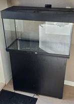 Aquarium Juwel Rio 125 - incl kast, pomp, accessoires, Ophalen, Gebruikt, Verlichting of Verwarming