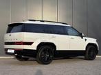 Hyundai Santa Fe 1.6 T-GDI PHEV Black Line 4WD 7p / Apple Ca, Automaat, Euro 6, 252 pk, 7 stoelen