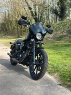 Harley Davidson Sportster 883, 2 cilinders, Sportuitlaat, Chopper, Particulier