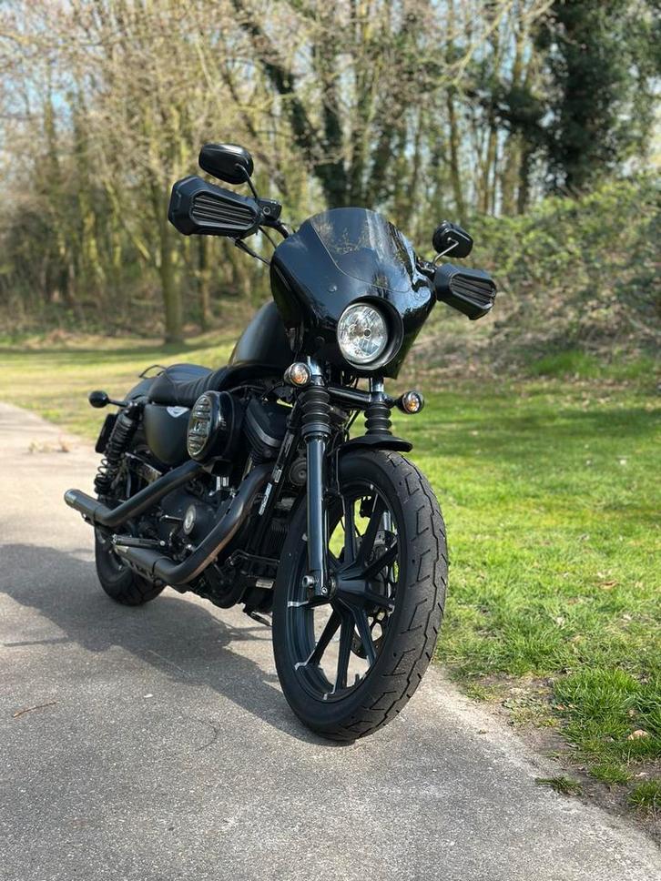 Harley Davidson Sportster 883, Motoren, Motoren | Harley-Davidson, Particulier, Chopper, meer dan 35 kW, 2 cilinders, Minimaal motorrijbewijs A2