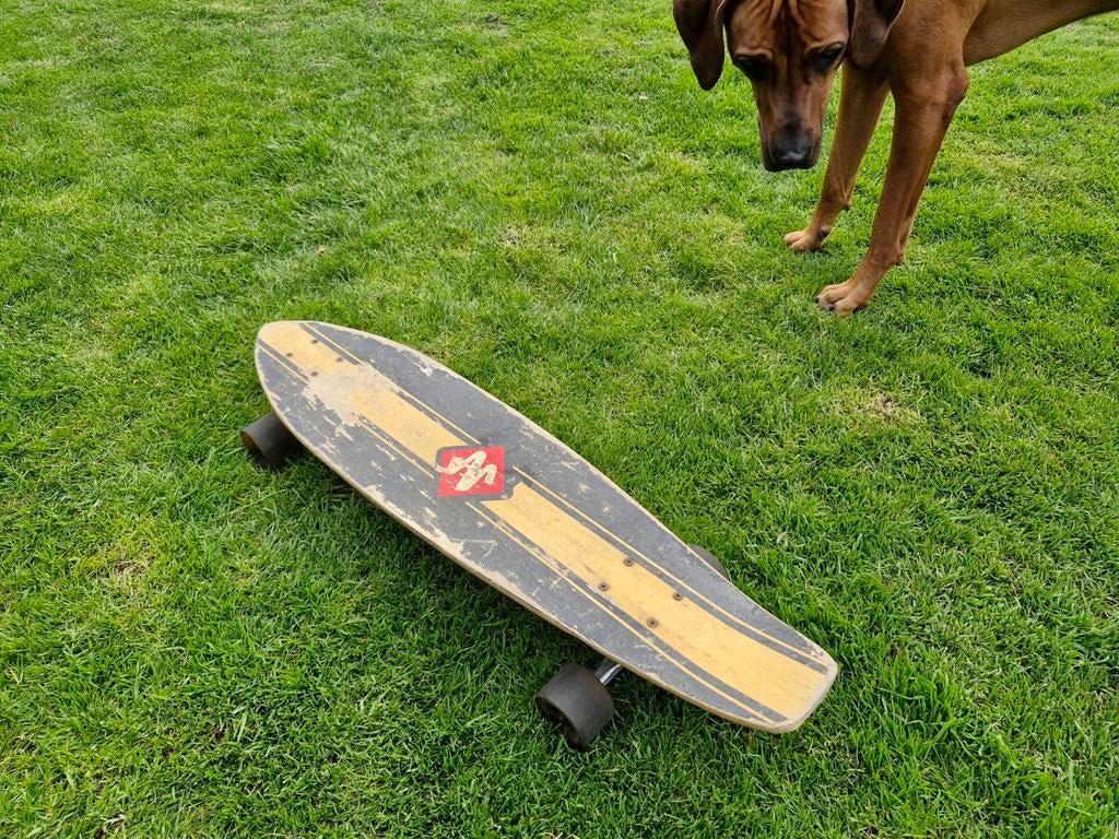 Longboard skateboard, Sport en Fitness, Skateboarden, Ophalen of Verzenden, Gebruikt, Longboard