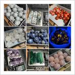 Natuurlijke Kristallen Bollen - Rozenkwarts, Bergkristal & M, ., Nieuw, Ophalen of Verzenden, .