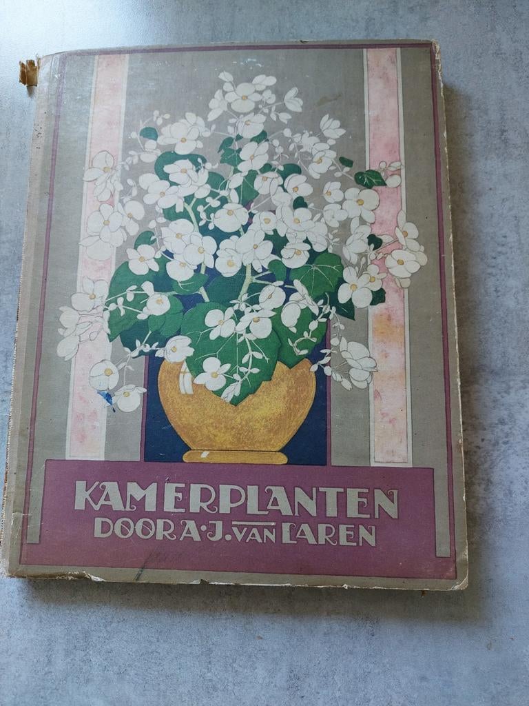 Verkade boek Kamerplanten 1928, Boeken, Prentenboeken en Plaatjesalbums, Ophalen of Verzenden, Gelezen, A.J van Laren uitgever Verkade