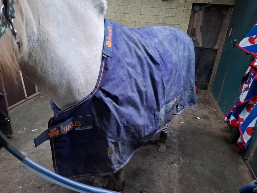 Bucas recuptex turnout 6.3 / 191 therapy, Dieren en Toebehoren, Paarden en Pony's | Dekens en Dekjes, Ophalen of Verzenden