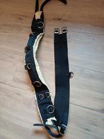 Longeersingel, Dieren en Toebehoren, Ophalen of Verzenden, Gebruikt, Overige soorten