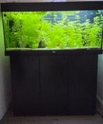 Juwel Rio 180L, Ophalen, Gebruikt, Gevuld zoetwateraquarium
