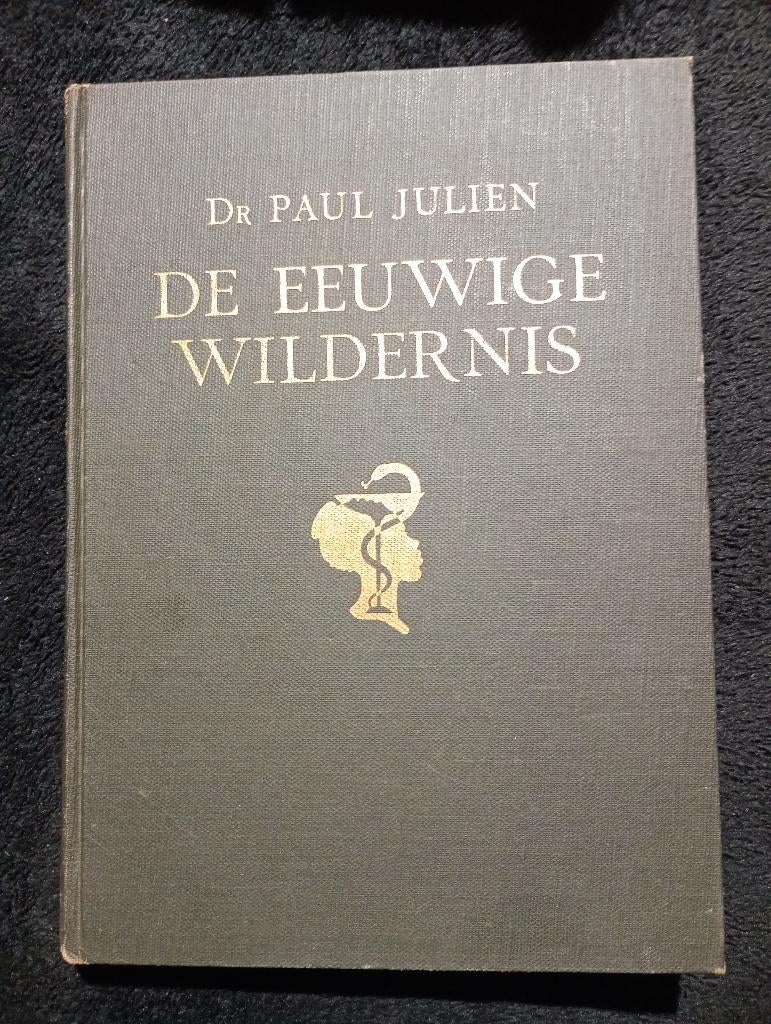 Paul Julien, De Eeuwige Wildernis, Ophalen of Verzenden, Gelezen, Europa