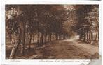 Maarn Boschlaan Oude Gelopen Ansichtkaart ( P-828 ), Verzamelen, Ophalen of Verzenden, 1940 tot 1960, Gelopen