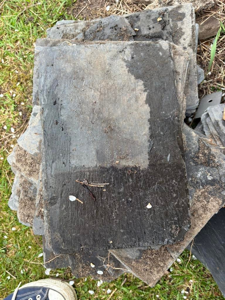 ongeveer 50 leisteen pannen 20x30, Doe-het-zelf en Verbouw, Dakpannen en Dakbedekking, Gebruikt, Steen of Klei, Ophalen of Verzenden