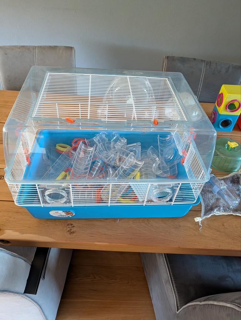 Hamsterkooi met extra's, Kooi, Minder dan 75 cm, Hamster, Ophalen