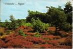 Ansichtkaart	Hapert	Het Vennebos	heide, Verzenden, 1980 tot heden, Gelopen, Gelderland