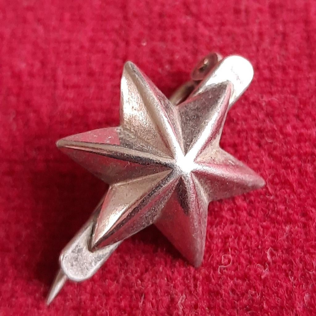 Militaire Speld STER, Verzamelen, Verzenden, Landmacht, Nederland, Embleem of Badge