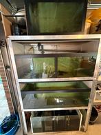 Kweek stelling aquarium, Dieren en Toebehoren, Ophalen, Zo goed als nieuw