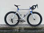 Pinarello Dogma 60.1 Racefiets - Carbon, Campagnolo Chorus, 28 inch, Gebruikt, Carbon, Heren