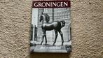 Fotoboek: Groningen. Stad en Ommeland, Ophalen of Verzenden, Zo goed als nieuw, Groningen