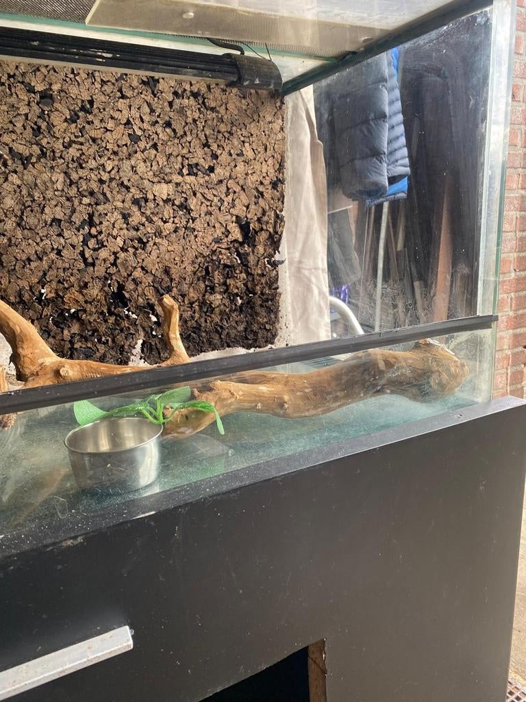 Terrarium 100 x 40 x 40, Ophalen, Gebruikt