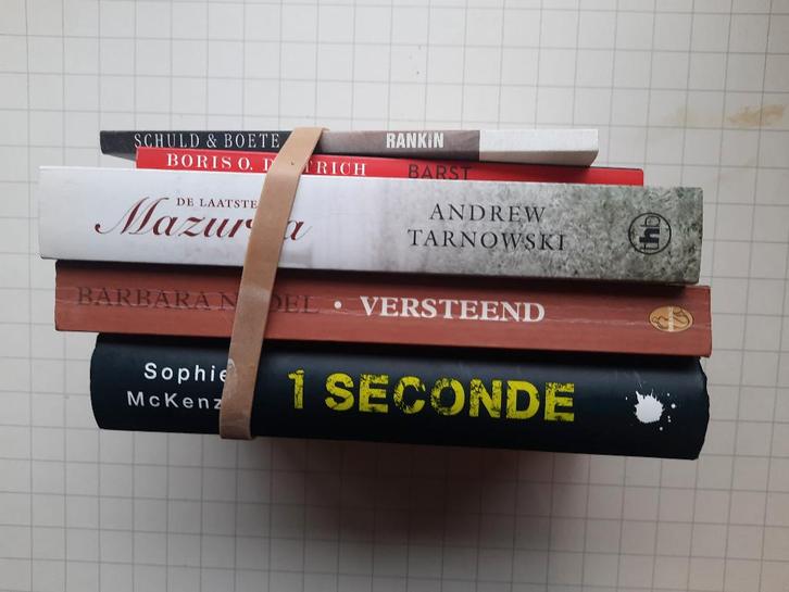 Detective, Boeken, Detectives, Zo goed als nieuw, Ophalen of Verzenden