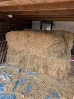 1 grote baal suikerarm hooi, Ophalen, Vee