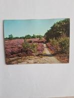 Ottersum - Gennep -13, Ophalen of Verzenden, Gelopen, Noord-Brabant