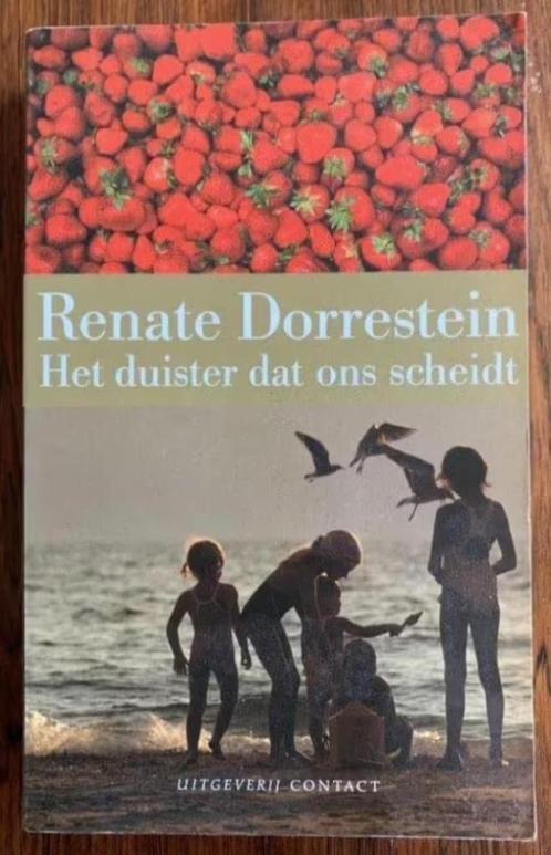 Het duister dat ons scheidt; Renate Dorrestein; 9025410677, Boeken, Romans, Zo goed als nieuw, Nederland, Ophalen of Verzenden