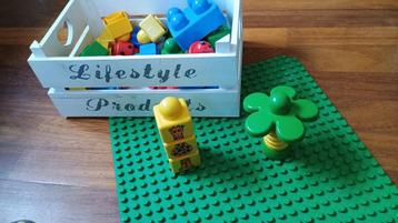 duplo primo in schattig kistje beschikbaar voor biedingen