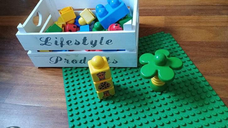 duplo primo in schattig kistje, Kinderen en Baby's, Speelgoed | Duplo en Lego, Zo goed als nieuw, Duplo, Losse stenen, Ophalen of Verzenden