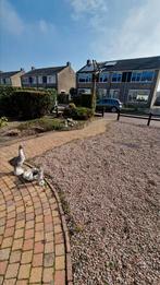 GRATIS AF TE HALEN! +/- 20m2 aan grind, Tuin en Terras, Grind, Keien en Split, Ophalen, Gebruikt, Multi, Grind