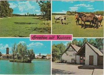 KUINRE Landschappen Rivier Paarden Groeten  beschikbaar voor biedingen