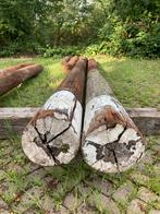 Hardhouten palen met witte kop, steigerpalen, overkapping, Tuin en Terras, Palen, Balken en Planken, Ophalen, Palen, Zo goed als nieuw