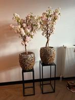 Kunstbloesemboompjes in schelpen pot op standaard (2 stuks), Huis en Inrichting, Woonaccessoires | Zuilen en Pilaren, Ophalen