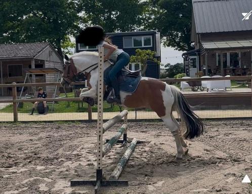 Verzorger gezocht, Dieren en Toebehoren, Stalling en Weidegang