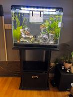 Aquarium, Dieren en Toebehoren, Ophalen, Zo goed als nieuw, Leeg aquarium