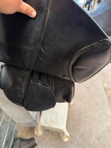 Euroriding springzadel beschikbaar voor biedingen