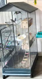 Vogel volieren met parkieten, Ophalen, Zo goed als nieuw, Overige materialen, Vogelkooi