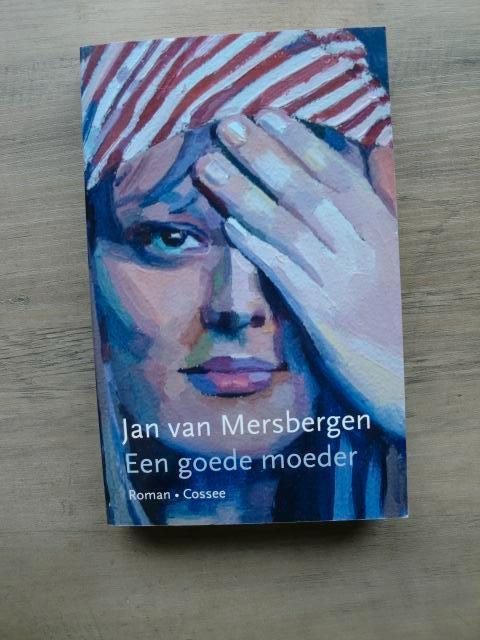 Jan van Mersbergen - Een goede moeder, Boeken, Literatuur, Nieuw, Ophalen of Verzenden