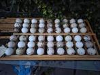 50 gebruikte hockeybal ballen., Sport en Fitness, Hockey, Ophalen, Gebruikt, Bal