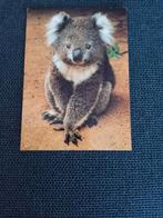 KOALA, Verzamelen, Ophalen of Verzenden, Ongelopen