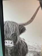 Schilderij Canvas - Schotse Hooglander 110x75cm, Huis en Inrichting, Ophalen, Zo goed als nieuw, Schilderij, 100 tot 125 cm