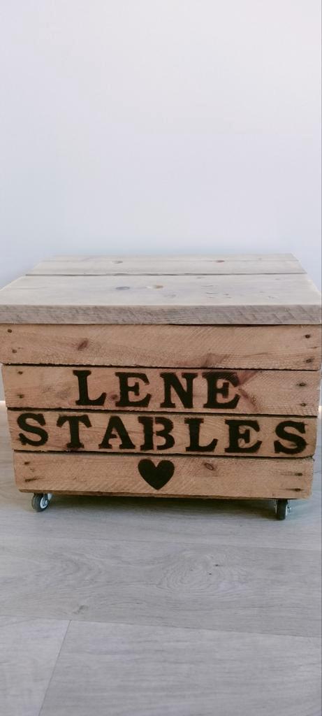 Mooie kist (hobbyhorse stal), Huis en Inrichting, Woonaccessoires | Kisten, Minder dan 50 cm, Minder dan 50 cm, 50 tot 100 cm