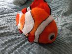 Nemo en schildpad, Ophalen
