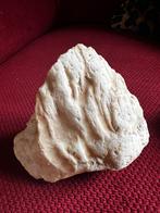 mooie grote steen, Verzamelen, Mineralen en Fossielen, Ophalen, Mineraal