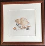 Aquarel van Mattie de Bruine….strandvondsten, Ophalen