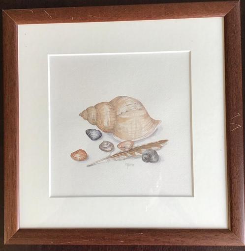Aquarel van Mattie de Bruine….strandvondsten, Antiek en Kunst, Kunst | Schilderijen | Klassiek, Ophalen