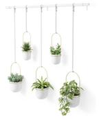 Umbra Triflora Hangende Bloempotten - Set van 5, Binnen, Ophalen of Verzenden, Zo goed als nieuw, Metaal