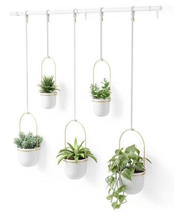 Umbra Triflora Hangende Bloempotten - Set van 5 beschikbaar voor biedingen