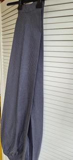 Skall Dames pantalon, Overige kleuren, Ophalen of Verzenden, Zo goed als nieuw, Lang