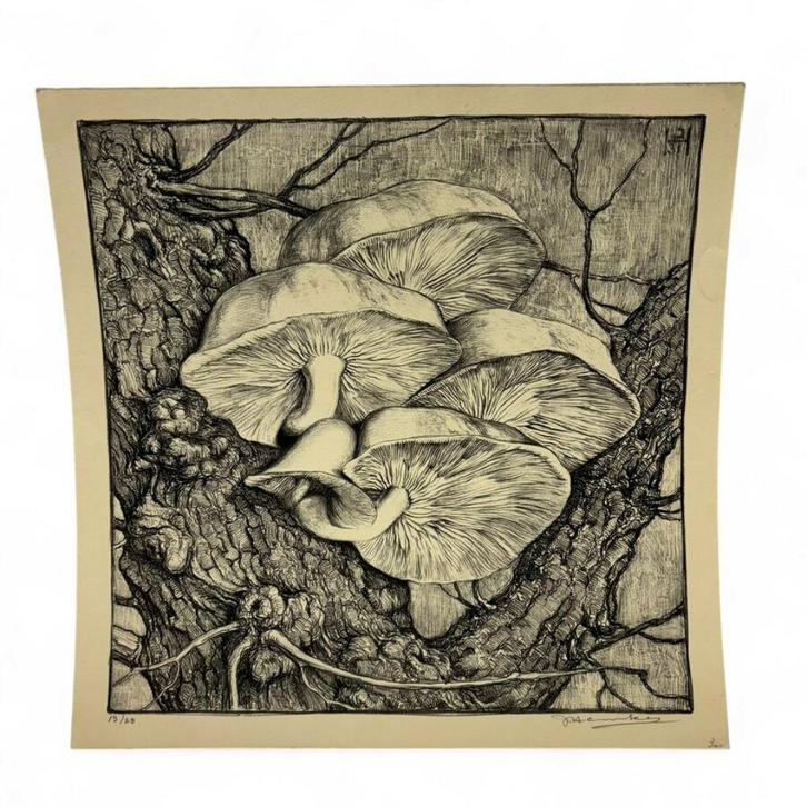 Johan Hemkes (1894-1984), Antiek en Kunst, Kunst | Litho's en Zeefdrukken, Ophalen of Verzenden